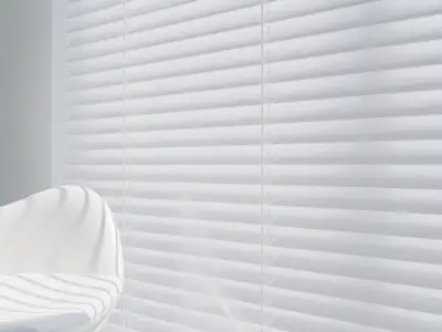 Venetian Blinds