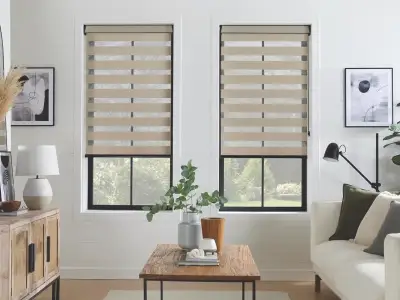 Vision Blinds